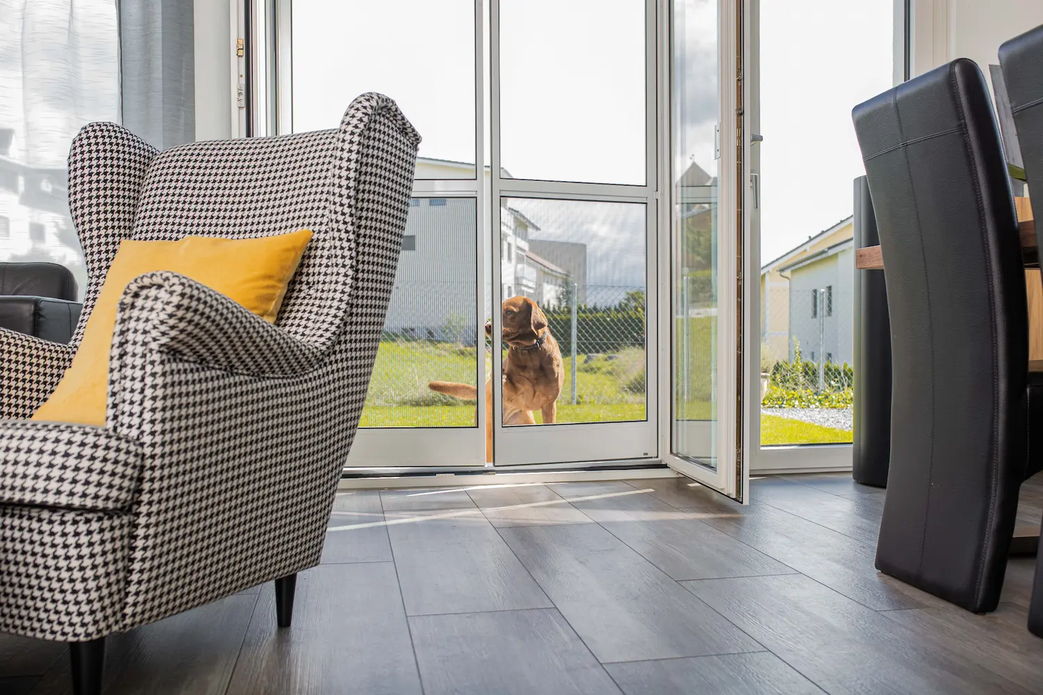 Ein brauner Hund öffnet eine Pendeltür mit Insektenschutznetz und schaut ins moderne Wohnzimmer, in dem ein kariertes Sessel mit gelbem Kissen und ein Esstisch mit schwarzen Stühlen stehen.